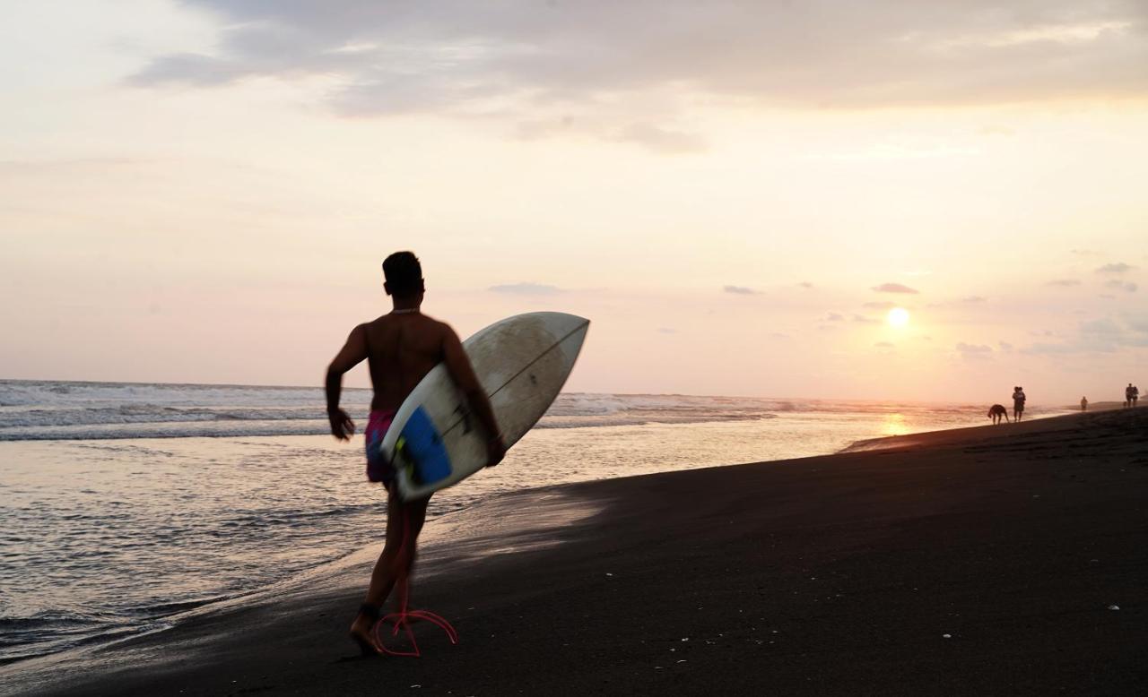 Shanti Surf Camp El Paredón Buena Vista エクステリア 写真