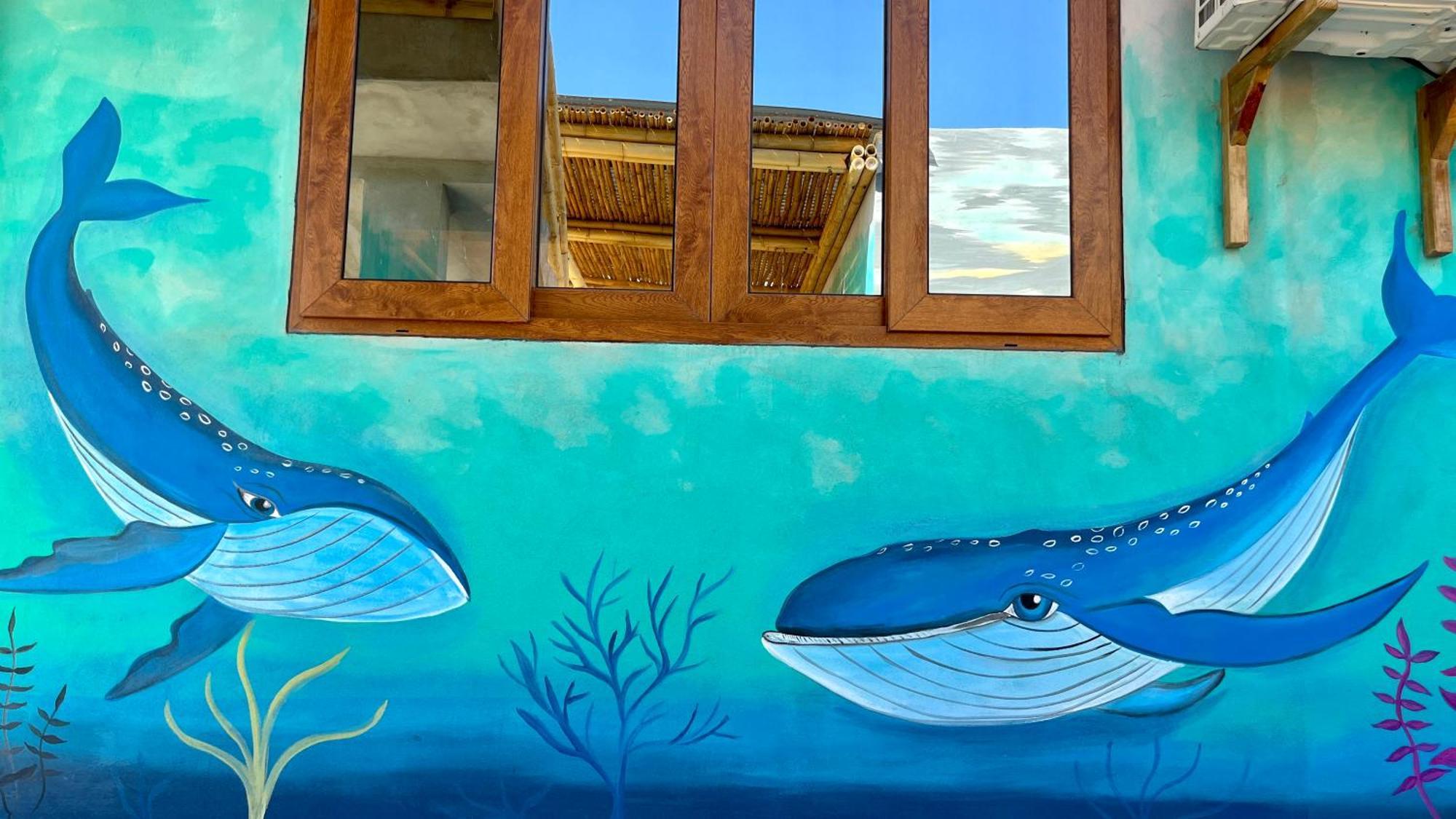 Shanti Surf Camp El Paredón Buena Vista エクステリア 写真